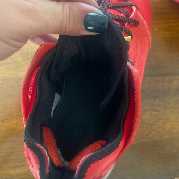 Labrons - Picture 3 of 3